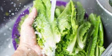 Can You Wash E. Coli Off Lettuce?