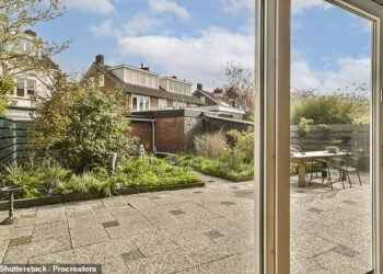 Overlooked: Our reader is considering putting up a tall fence around the whole perimeter of their back garden to offer privacy against their neighbours