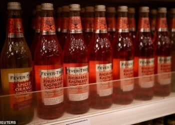 Bottling issues: Fever-Tree warned in January that spiralling energy bills would result in around £20million in extra glass-making costs this year