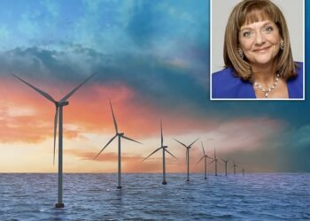 Concern: The trust sector is a big investor in green assets including wind farms. Inset: Baroness Ros Altmann