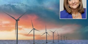 Concern: The trust sector is a big investor in green assets including wind farms. Inset: Baroness Ros Altmann