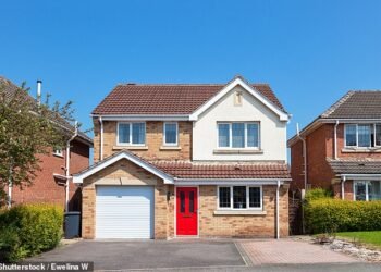Britain's biggest lenders have made a series of rate reductions in recent days, giving borrowers much-needed respite after rates soared over the summer (Stock Image)