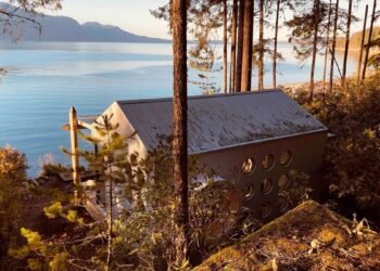 Olympic National Park Lodging: 14 Airbnbs, Hotels, & Vrbos to Book Now