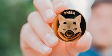 Shiba Inu