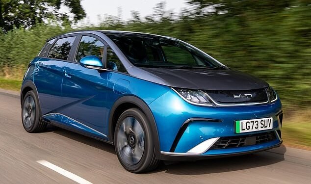 Good value: Prices for the all-electric BYD Dolphin hatchback start at £25,490