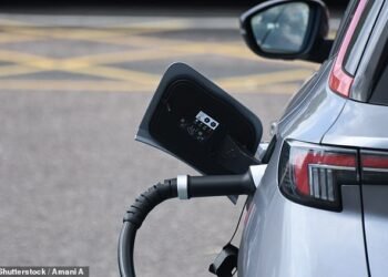 Under current proposals, which will come into force from January 1, 22 per cent of new cars sold by manufacturers in 2024 must be electric (Stock Image)