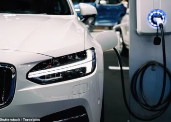 Dealers have warned that Electric Vehicles (EVs) are sitting on forecourts for ‘months on end while they haemorrhage value’ (file image)