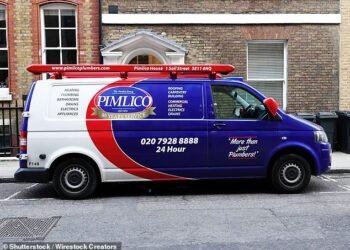 Down the plughole: Pimlico Plumbers saw its sales tumble last year as rival firms ramped up their business following the pandemic