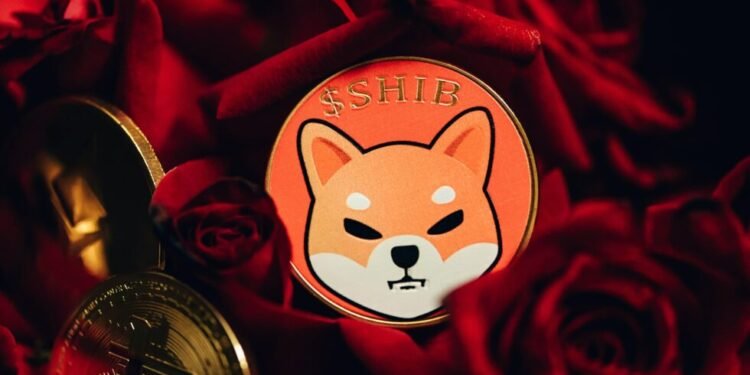 Shiba Inu