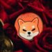 Shiba Inu