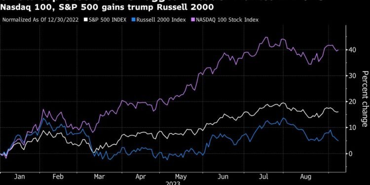 Short Sellers Reap $13 Billion on Gaps in Winner-Take-All Market
