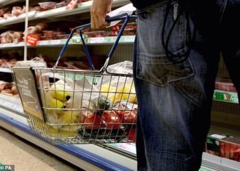 Warning: JP Morgan claimed that Europe's food retail industry is not preparing sufficiently for a possible downturn in 2024 and the resultant decline in grocery prices