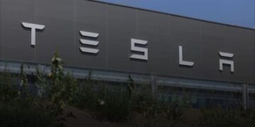 Tesla Stages $80 Billion Rally After Morgan Stanley Ups Price Target On AI Optimism