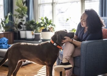 The Best Homeowners Insurance in Wyoming for 2023