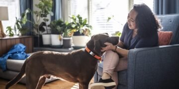 The Best Homeowners Insurance in Wyoming for 2023