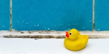 The Best Ways to Reduce Dampness in a Bathroom Without a Window or Fan