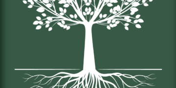 tree branch