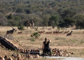 This Wheelchair-Accessible Safari in South Africa Should Be the Future of Adventure Travel