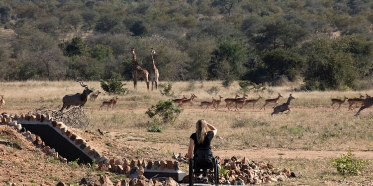 This Wheelchair-Accessible Safari in South Africa Should Be the Future of Adventure Travel
