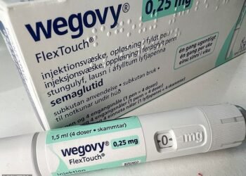 Breakthrough: Shares in Novo Nordisk, a specialist in diabetes and weight loss medicines, have more than tripled in value since the start of 2021