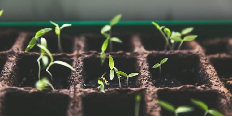 What is Growth Capital? - Benzinga