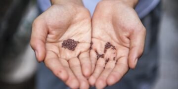 What is Seed Capital? - Benzinga