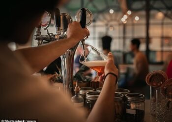 Reeling: Demands are growing for a cut in VAT at pubs, clubs and restaurants