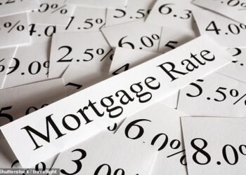 Hypnotised: mortgage brokers warn that low headline rates only can carry a nasty sting in the tail via a larger arrangement fee