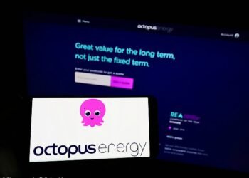 Volatile prices: Octopus Tracker follows the daily wholesale price of gas and electricity