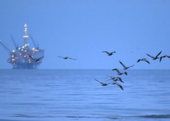Oil down almost 4%, surrendering war premium amid Fed focus