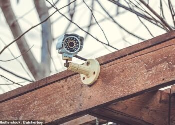 Privacy breach? The neighbour has installed a CCTV camera in his back garden, and our reader thinks it has a view in to their own home
