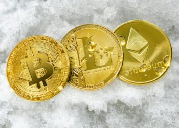 Shiba Inu (SHIB) Enormous Volume Surge: What Happened?