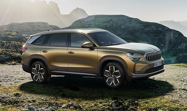 Rocky road ahead: The new Kodiaq¿s pricing policy might attract a backlash