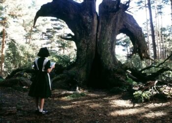 Condé Nast Traveler