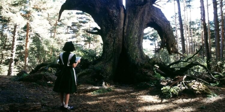 Condé Nast Traveler