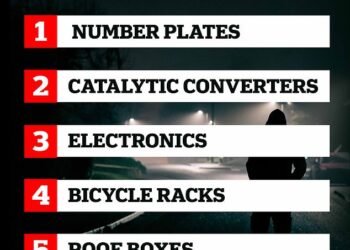 Number plates, catalytic converters, a vehicle's electronic components, bike racks and roof boxes are the five most common things stolen from cars