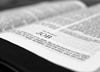 What CV headings do I need?