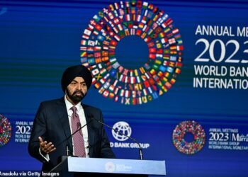 Ajay Banga: The new head of the World Bank has spoken about debt in developing countries