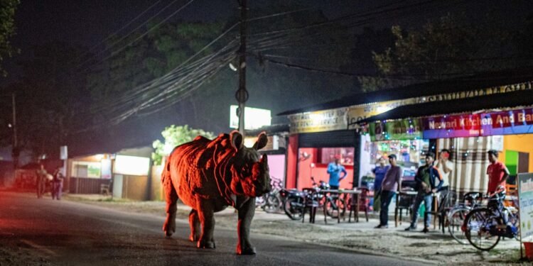 Condé Nast Traveler