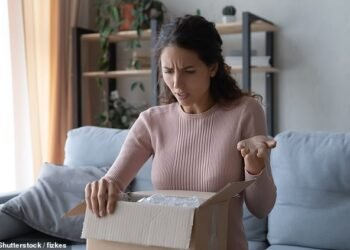 Problems: New research by Citizens Advice found a third of shoppers have had an issue with a parcel delivery in the last month