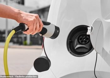 Leading the charge: Several energy firms are bringing back decent deals for EV charging