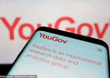 Boost: YouGov's business includes running surveys and providing data to companies and its market value is £1.1billion
