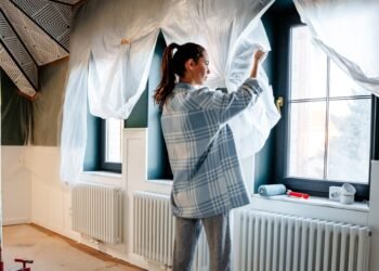 Citizens Property Insurance Home Insurance Review 2023: Pros and Cons