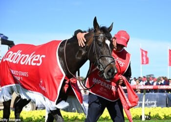 Good deal: Entain directors have acquired around £2.4million of stock in the Ladbrokes owner