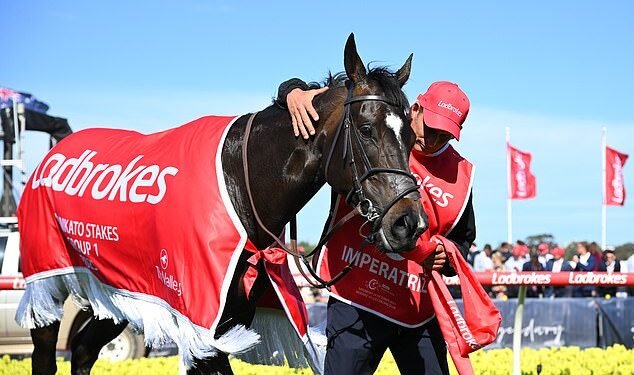 Good deal: Entain directors have acquired around £2.4million of stock in the Ladbrokes owner