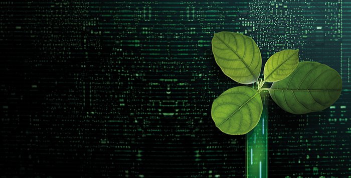 FCA announce final SDR rules to tackle greenwashing