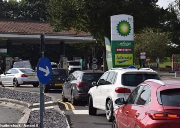 Fuel thefts soar: Filling station operators have attempted to trace the identity of almost 40k vehicle owners who have driven off without paying for petrol or diesel. This is up 77% on 2022