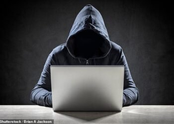 Duped: Alice thought she was starting a new part-time job but lost £16,500 to scammers