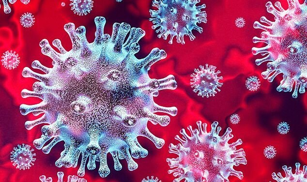 Gamble: Scientists were branded heretics for challenging the assumption that Covid lockdown was the only game in town