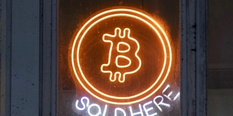 New leader of state regulators places emphasis on 'risky' digital assets